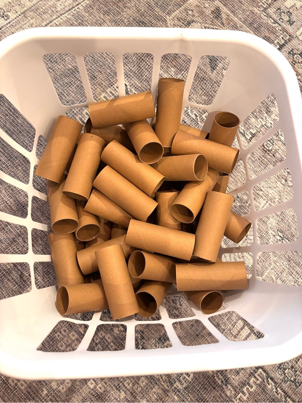 48 STURDY Bamboo Tubes
